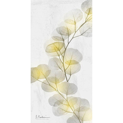 Eucalyptus Sunshine 2 Gold Ornate Wood Framed Art Print with Double Matting by Koetsier, Albert