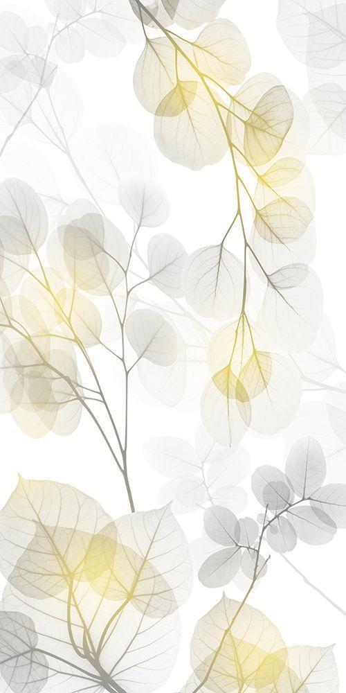 Image Only