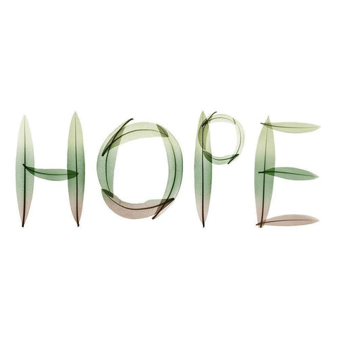 Hope White Modern Wood Framed Art Print by Koetsier, Albert