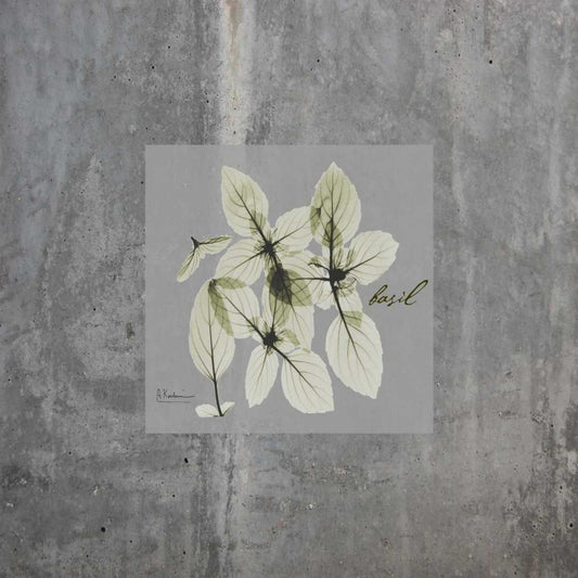 Image Only