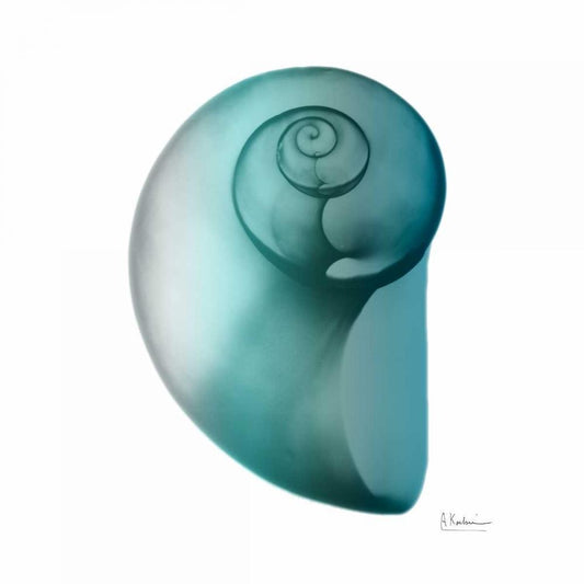 Image Only