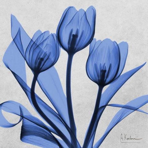 Midnight tulips 2 Black Ornate Wood Framed Art Print with Double Matting by Koetsier, Albert