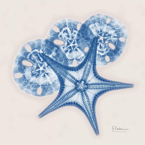Cerulean Starfish and Sand Dollar White Modern Wood Framed Art Print by Koetsier, Albert