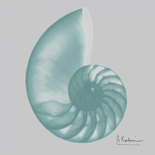 Image Only