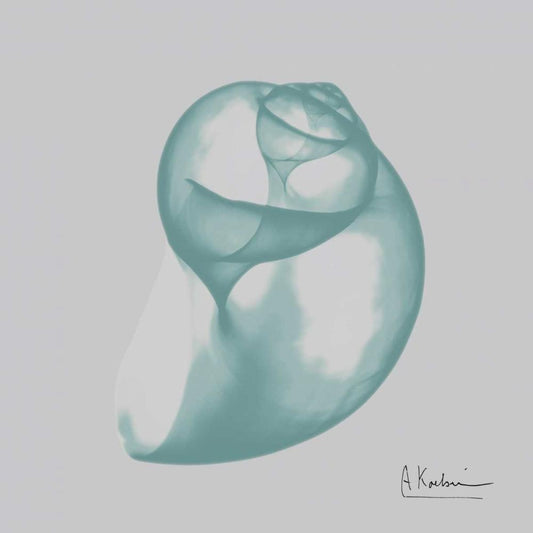 Image Only