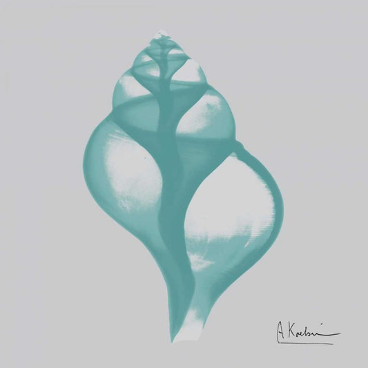 Image Only