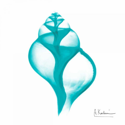 Turquoise Tulip Shell White Modern Wood Framed Art Print by Koetsier, Albert