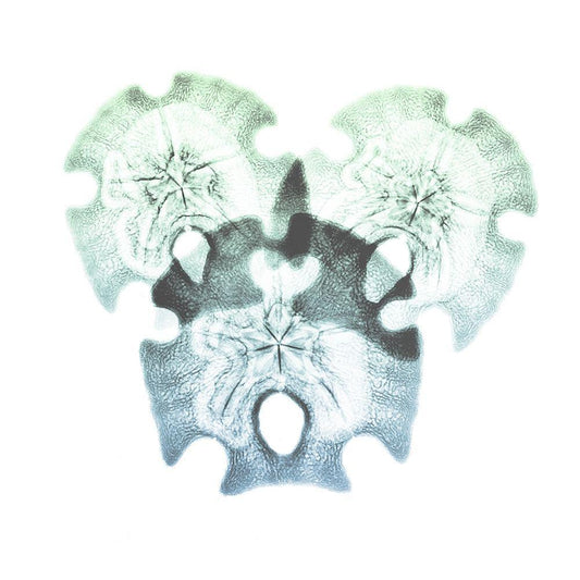 Image Only