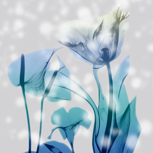 Image Only