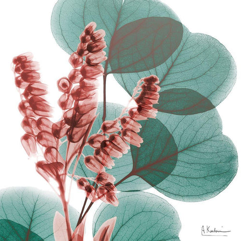 Blushing Lilly Of Eucalyptus 1 White Modern Wood Framed Art Print with Double Matting by Koetsier, Albert