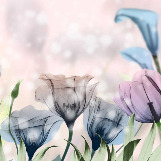 Image Only