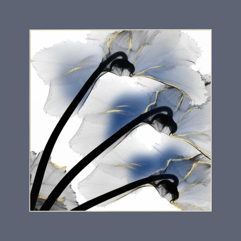 Indigo Luster Cyclamen Border White Modern Wood Framed Art Print with Double Matting by Koetsier, Albert