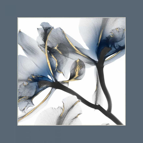 Indigo Luster Cyclamen Border 2 White Modern Wood Framed Art Print by Koetsier, Albert