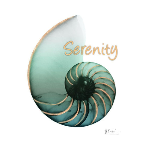 Shinny Serenity Snail 1 White Modern Wood Framed Art Print by Koetsier, Albert