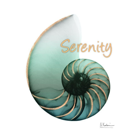 Shinny Serenity Snail 1 White Modern Wood Framed Art Print with Double Matting by Koetsier, Albert