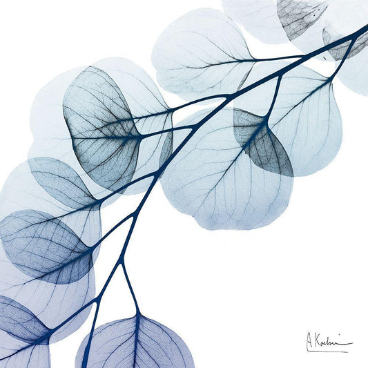 Image Only