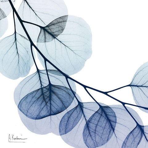 Blue Eucalyptus 2 White Modern Wood Framed Art Print with Double Matting by Koetsier, Albert