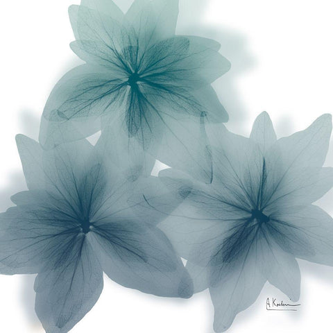 Nebulous Flora 1 White Modern Wood Framed Art Print with Double Matting by Koetsier, Albert
