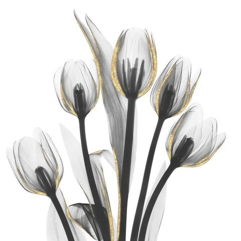 Gold Embellished Tulips 1 White Modern Wood Framed Art Print by Koetsier, Albert