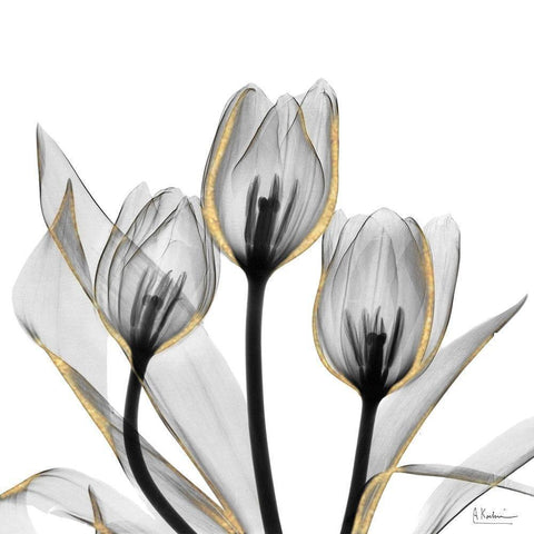 Gold Embellished Tulips 5 Black Modern Wood Framed Art Print with Double Matting by Koetsier, Albert