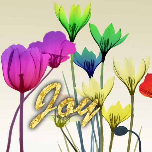 Image Only