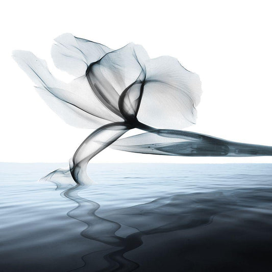 Image Only