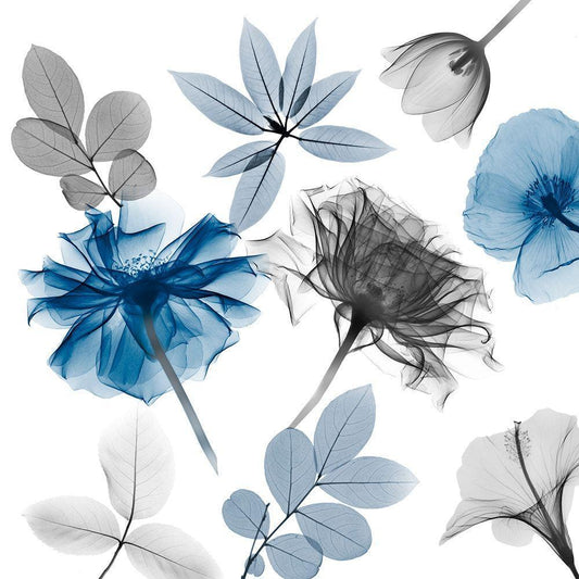 Image Only