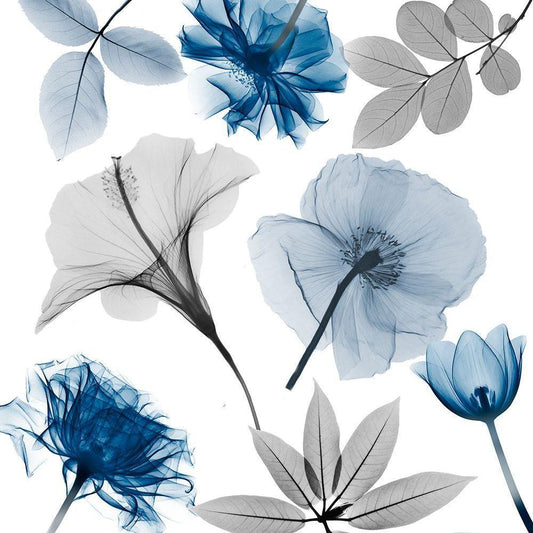 Image Only