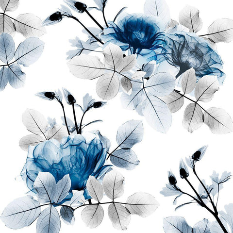 Indigo Bouquets 2 White Modern Wood Framed Art Print with Double Matting by Koetsier, Albert