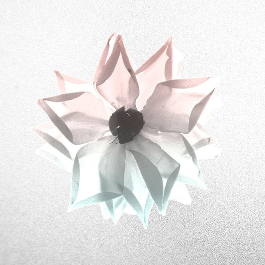 Image Only