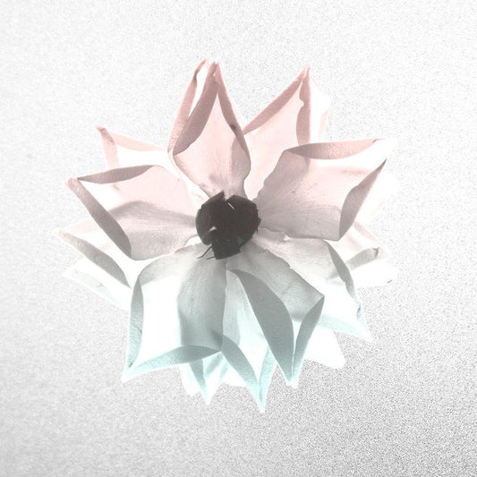 Image Only