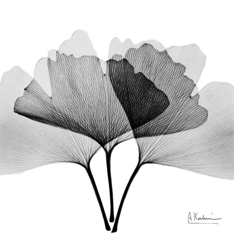 Inverted Ginko 5 White Modern Wood Framed Art Print with Double Matting by Koetsier, Albert