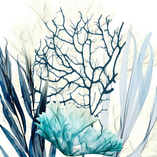 Image Only