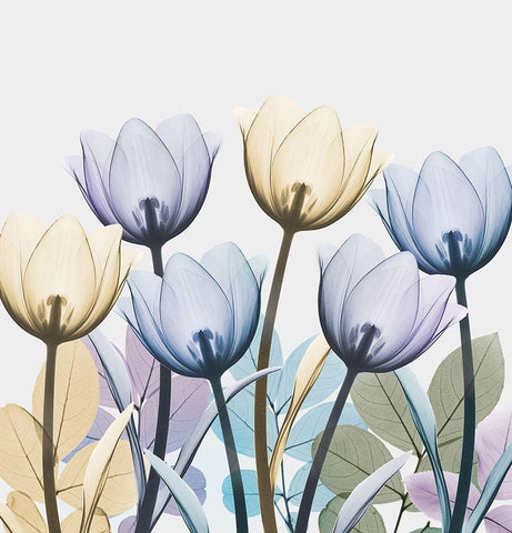 Tulip Collage 1 White Modern Wood Framed Art Print with Double Matting by Koetsier, Albert