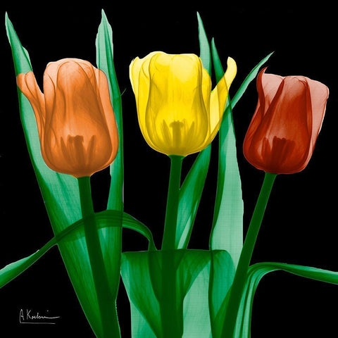 Jewel Embellished Tulips 4 White Modern Wood Framed Art Print with Double Matting by Koetsier, Albert