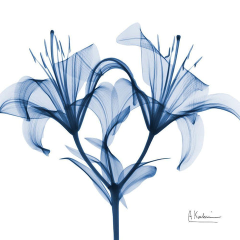 Indigo Lily White Modern Wood Framed Art Print with Double Matting by Koetsier, Albert