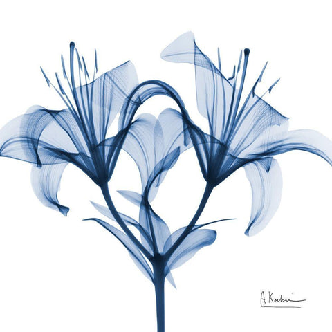 Indigo Lily White Modern Wood Framed Art Print by Koetsier, Albert