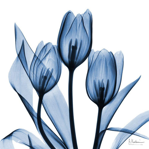 Indigo Tulips White Modern Wood Framed Art Print with Double Matting by Koetsier, Albert