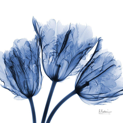 Indigo Stunning Tulips White Modern Wood Framed Art Print by Koetsier, Albert