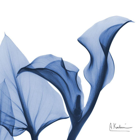 Indigo Calla Love White Modern Wood Framed Art Print with Double Matting by Koetsier, Albert