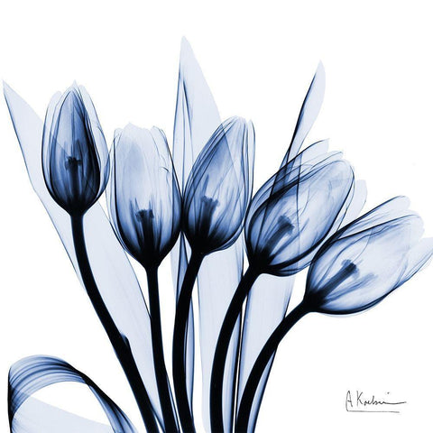 Marvelous Indigo Tulips White Modern Wood Framed Art Print with Double Matting by Koetsier, Albert