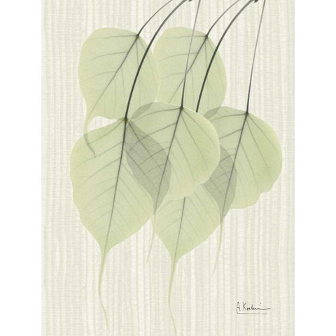 Bo Tree E158 White Modern Wood Framed Art Print by Koetsier, Albert