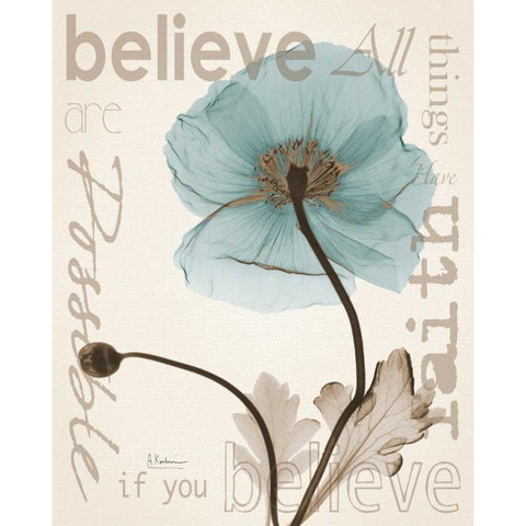 Believe Poppy White Modern Wood Framed Art Print by Koetsier, Albert