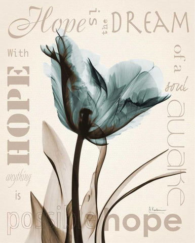 Hope Tulip White Modern Wood Framed Art Print with Double Matting by Koetsier, Albert