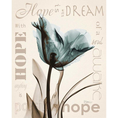 Hope Tulip Black Modern Wood Framed Art Print by Koetsier, Albert