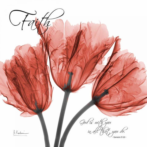 Royal Red Tulip -Faith White Modern Wood Framed Art Print with Double Matting by Koetsier, Albert