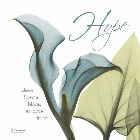 Calla Hope White Modern Wood Framed Art Print by Koetsier, Albert