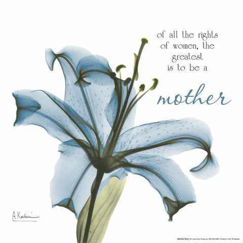 Mother Lily A36 White Modern Wood Framed Art Print with Double Matting by Koetsier, Albert