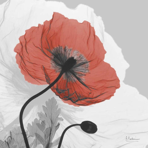 Poppy Prince White Modern Wood Framed Art Print by Koetsier, Albert