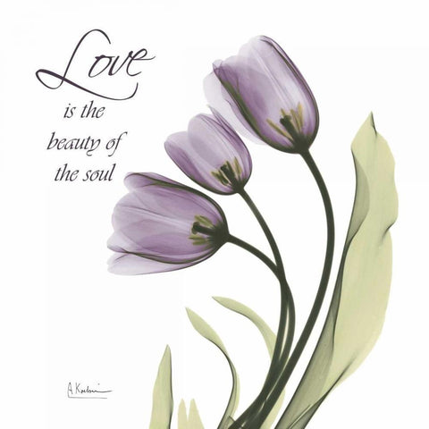 Love is the beauty White Modern Wood Framed Art Print by Koetsier, Albert